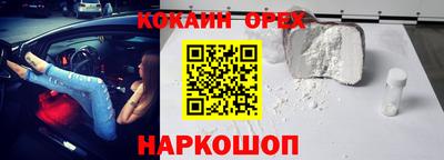 шишки Тара