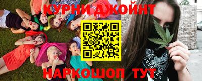 шишки Тара