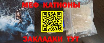 шишки Тара