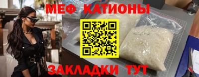 шишки Тара