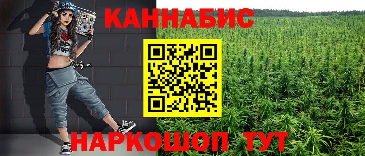 Канабис OG Kush Баксан